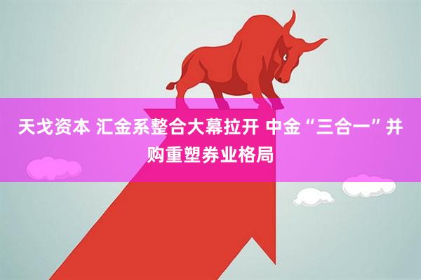 天戈资本 汇金系整合大幕拉开 中金“三合一”并购重塑券业格局